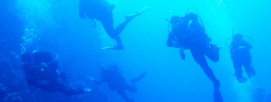 Zdjęcie podwodne